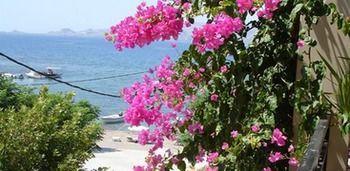 Lejlighed Village *